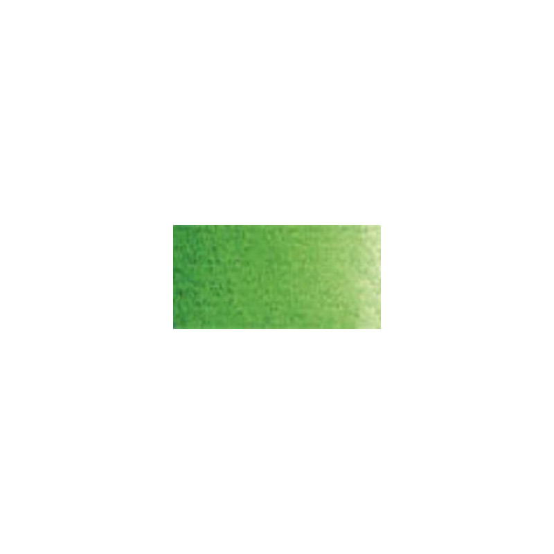 Vert de vessie - Tube 5 ml Schmincke Horadam 