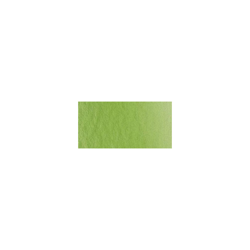 Vert de vessie - Aquarelles 1/2 Godet Lukas 1862 