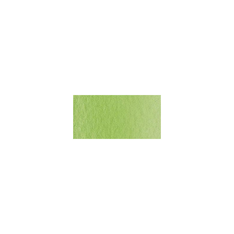 Vert cinabre clair - Aquarelles 1/2 Godet Lukas 1862 