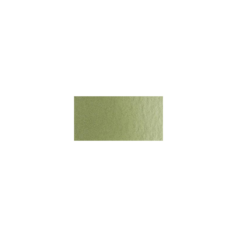 Vert olive - Aquarelles 1/2 Godet Lukas 1862 