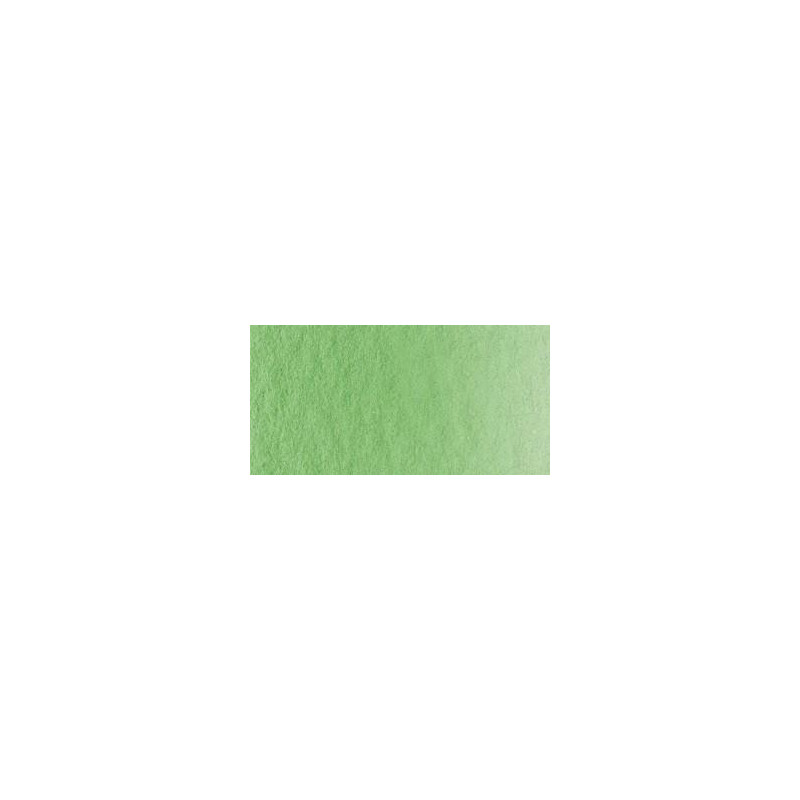 Vert permanent jaunâtre - Aquarelles 1/2 Godet Lukas 1862 