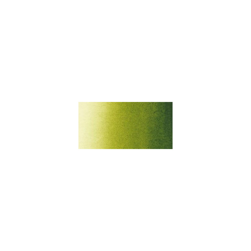 Vert olive - Aquarelle 1/2 Godet Sennelier
