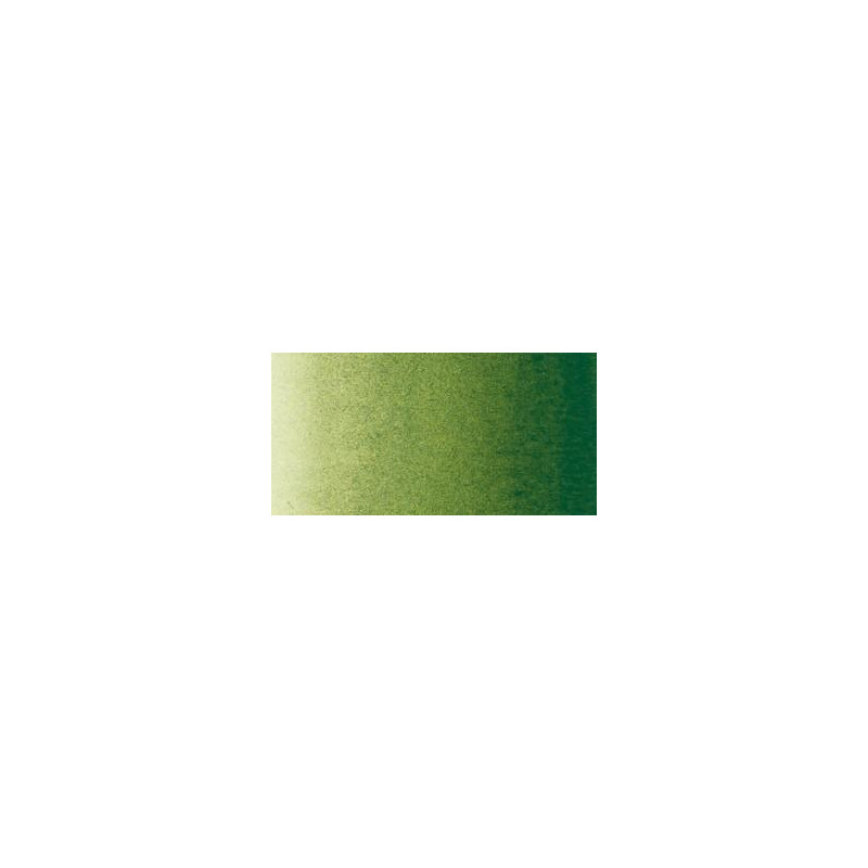 Vert de vessie - Aquarelle 1/2 Godet Sennelier