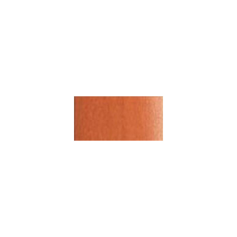 Brun magnésium - Aquarelles 1/2 Godet Winsor & Newton