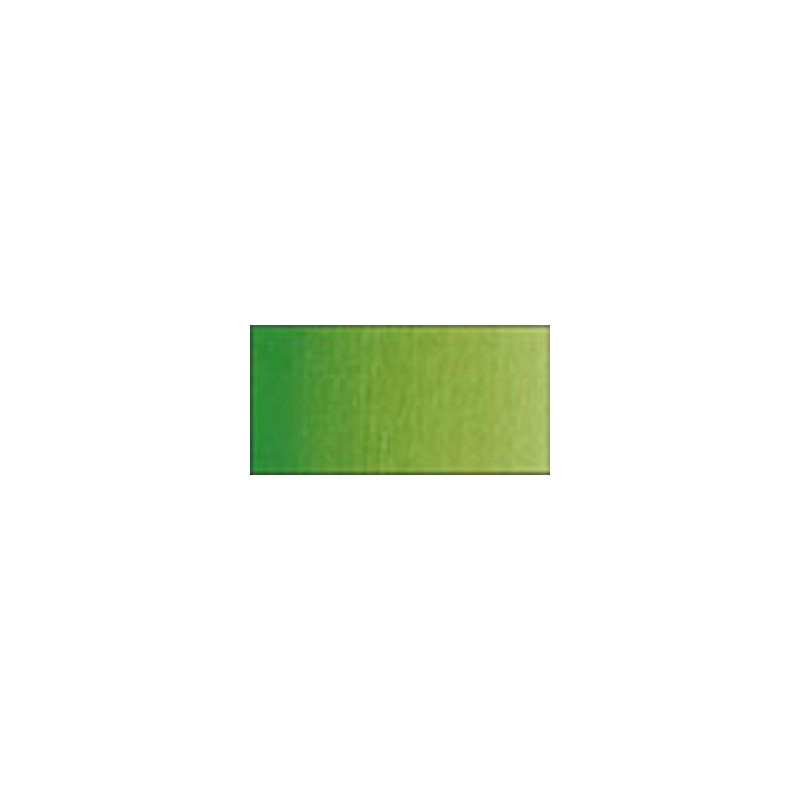 Vert de vessie permanent - Aquarelles Tube 5 ml Winsor & Newton