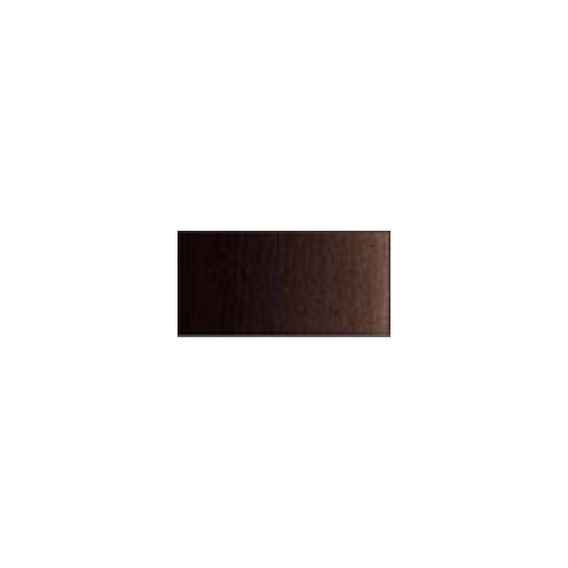 Brun Van Dyck - Aquarelles Tube 5 ml Winsor & Newton