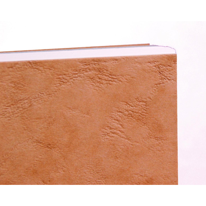 Album de voyage Clairefontaine 14,8x21 300g 25 f havane 