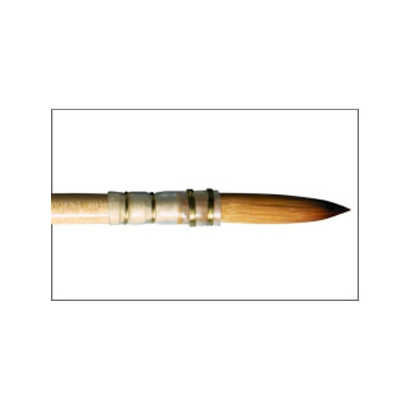 Pinceau lavis monté sur plume série 804 Raphaël n°000