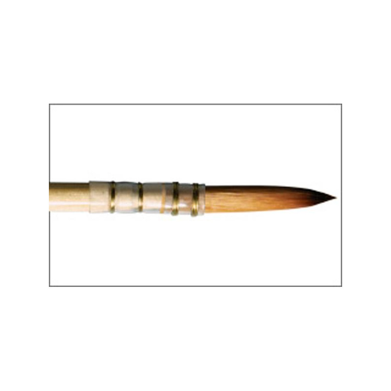 Pinceau lavis monté sur plume série 804 Raphaël n°00