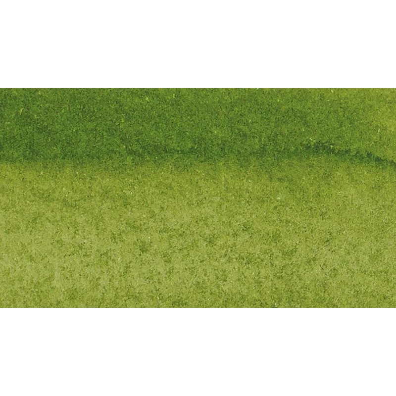 Vert de vessie - Marqueur d'aquarelle Winsor & Newton