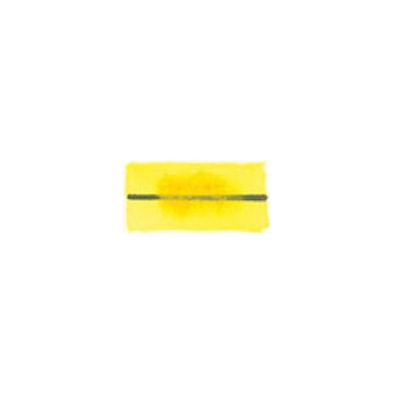Jaune de Naples - Aquarelles 1/2 Godet Blockx