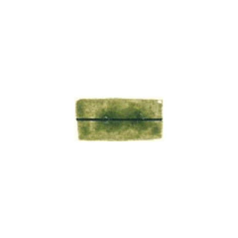 Terre verte - Aquarelles 1/2 Godet Blockx