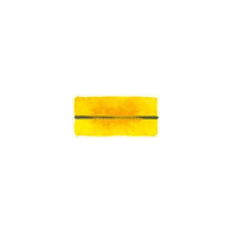 Jaune indien - Aquarelles 1/2 Godet Blockx