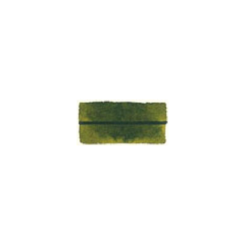 Vert olive - Aquarelles 1/2 Godet Blockx