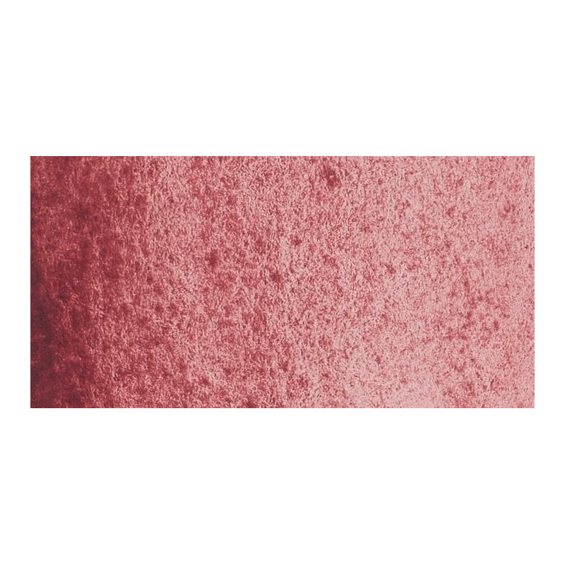 Rose potier - 1/2 Godet Schmincke Horadam 