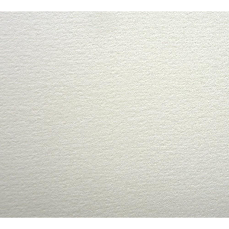 Feuilles Expression Hahnemühle 50x65 300g 10f grain fin 100% coton