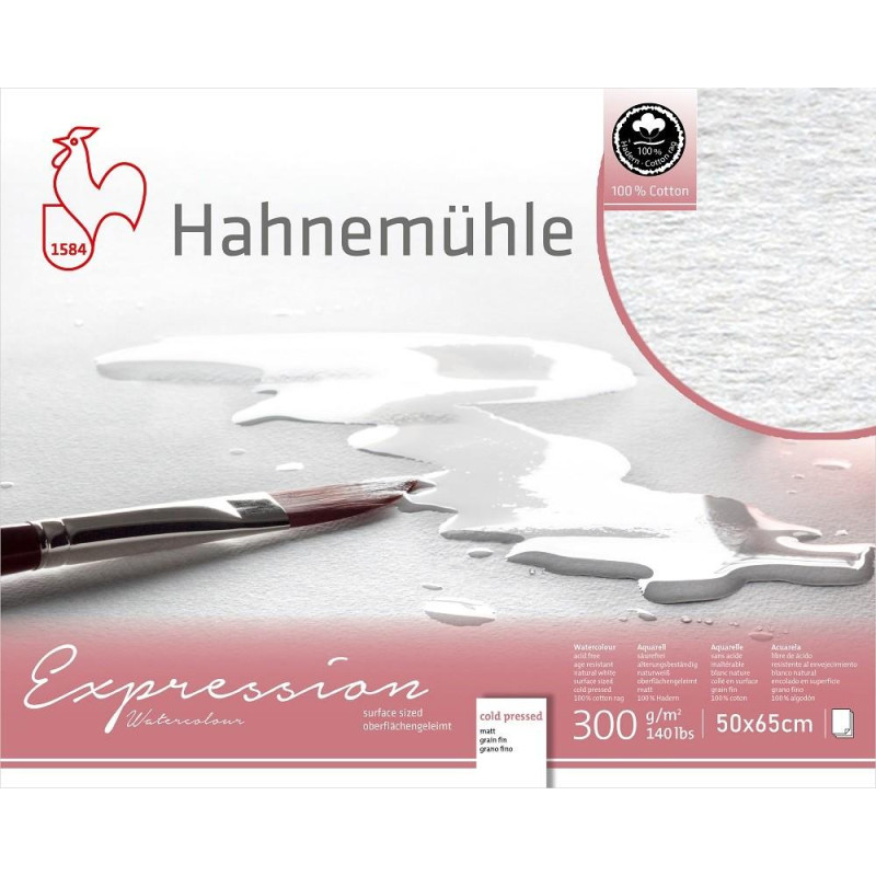 Feuilles Expression Hahnemühle 50x65 300g 10f grain fin 100% coton