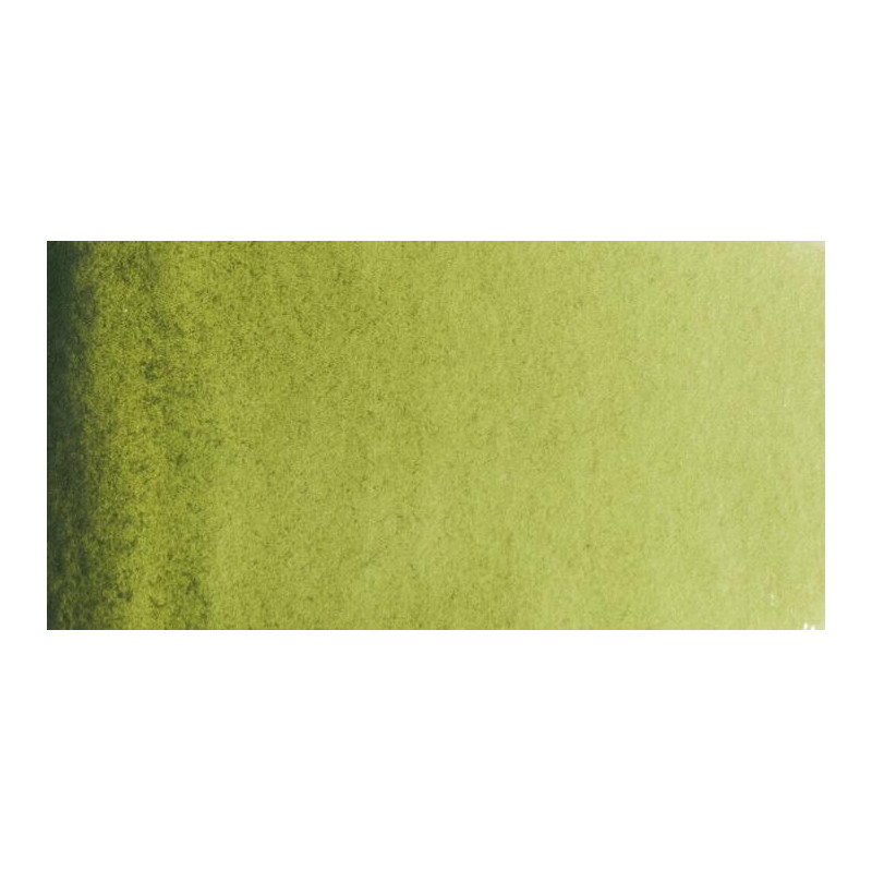Vert olive - Aquarelles 1/2 Godet Van Gogh
