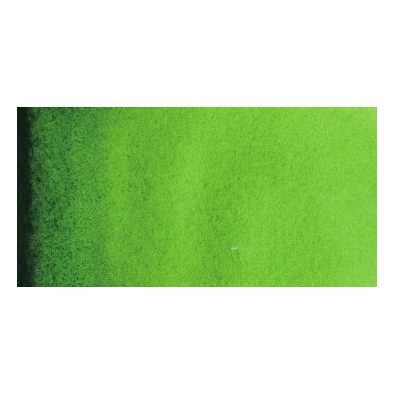 Vert de vessie - Aquarelles 1/2 Godet Van Gogh