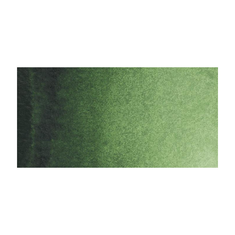 Vert de Hooker clair - Aquarelles 1/2 Godet Rembrandt