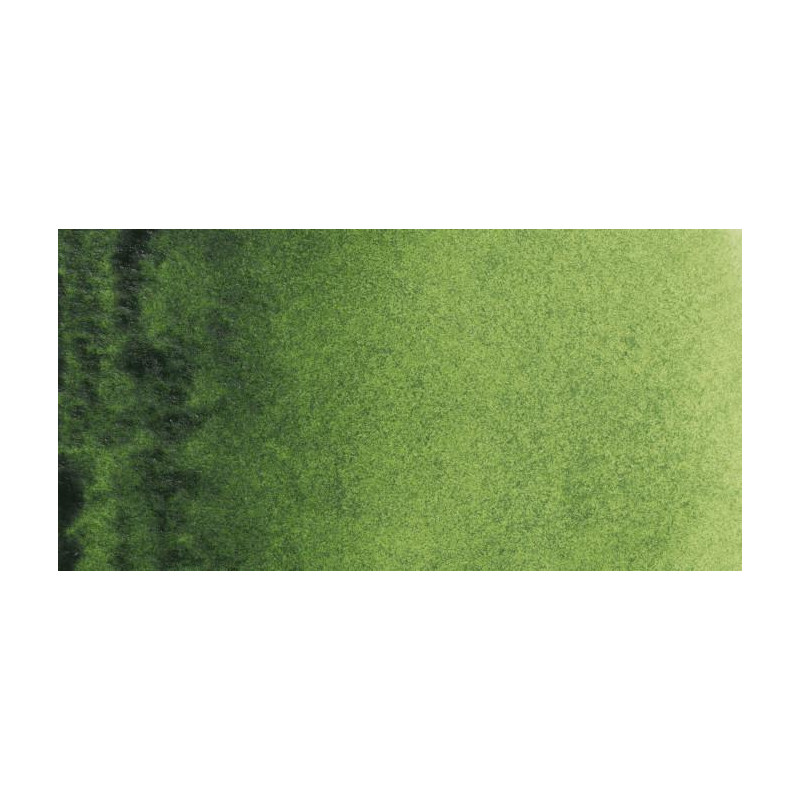 Vert de vessie - Aquarelles Tube 20 ml Rembrandt