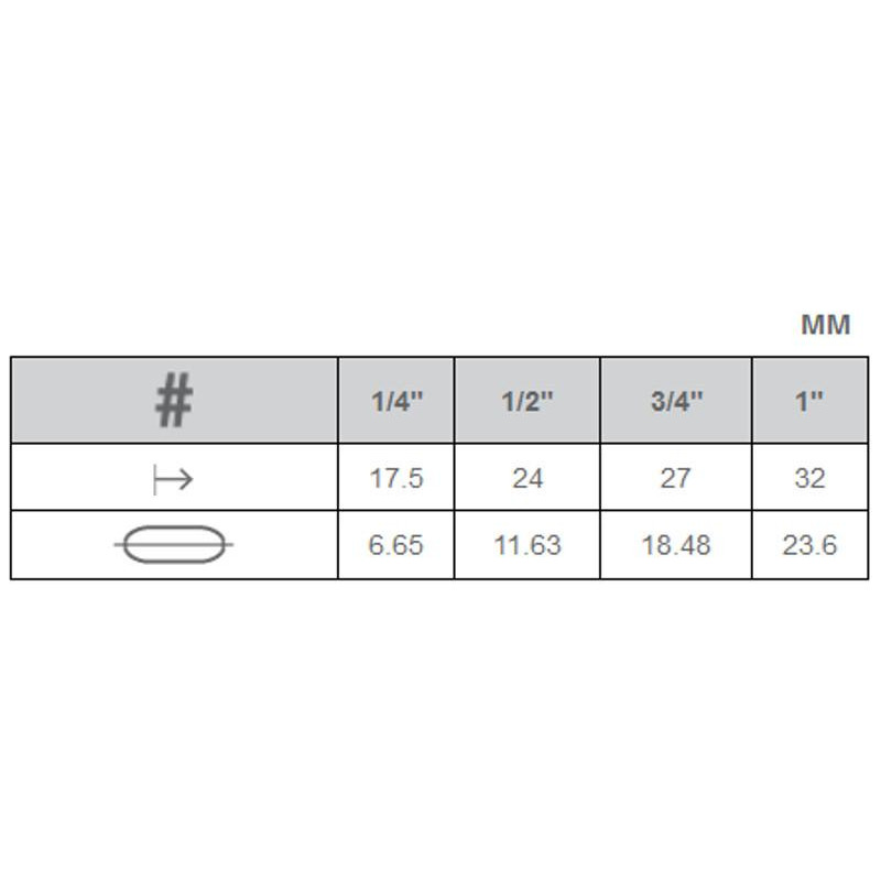 Pinceau plat Kolinsky long synthétique Princeton Aqua Elite ½''