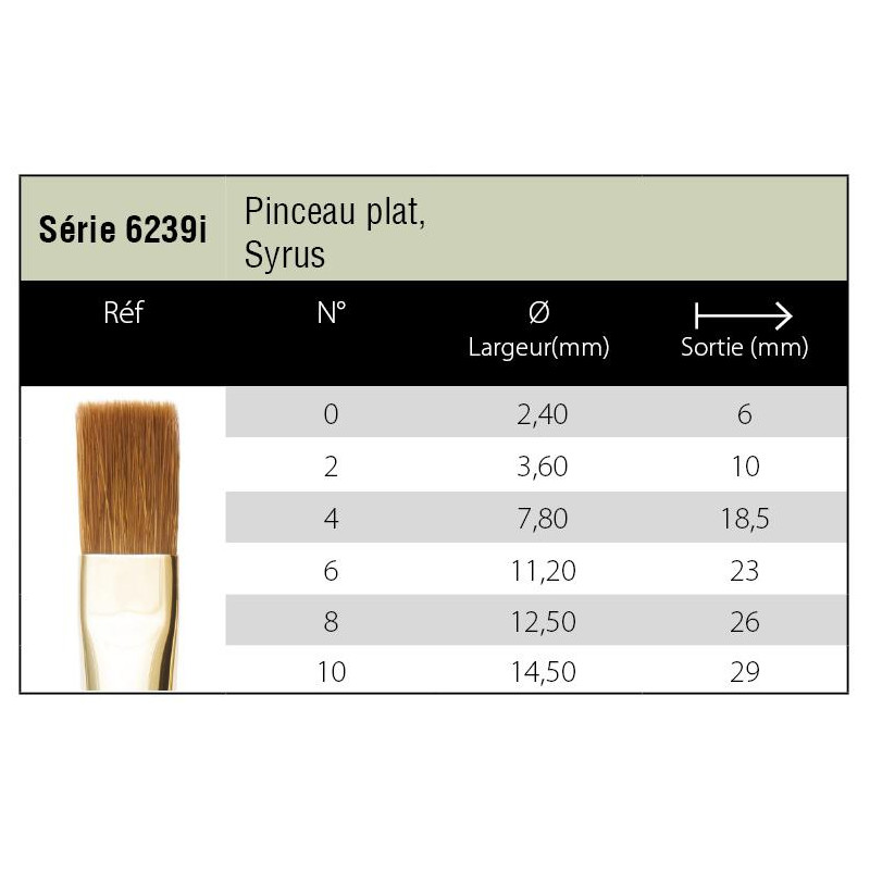 Pinceau aquarelle Syrus plat Isabey série 6239i n°6