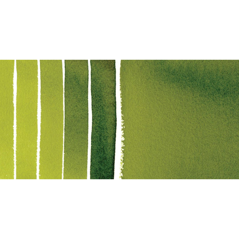 Vert de vessie - aquarelle extra-fine ½ godet Daniel Smith