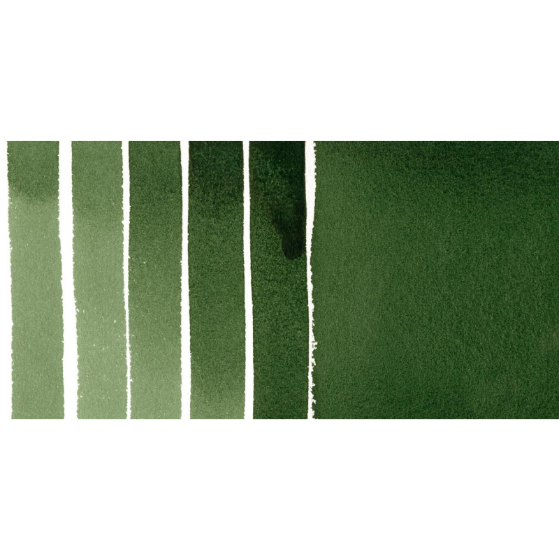 Vert de vessie foncé - aquarelle extra-fine Tube 15 ml Daniel Smith