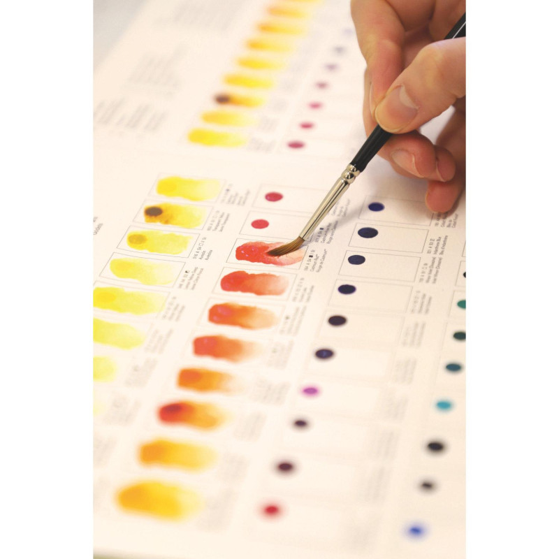 Carte échantillon couleurs réelles 109 couleurs d'aquarelles extra-fines Winsor & Newton