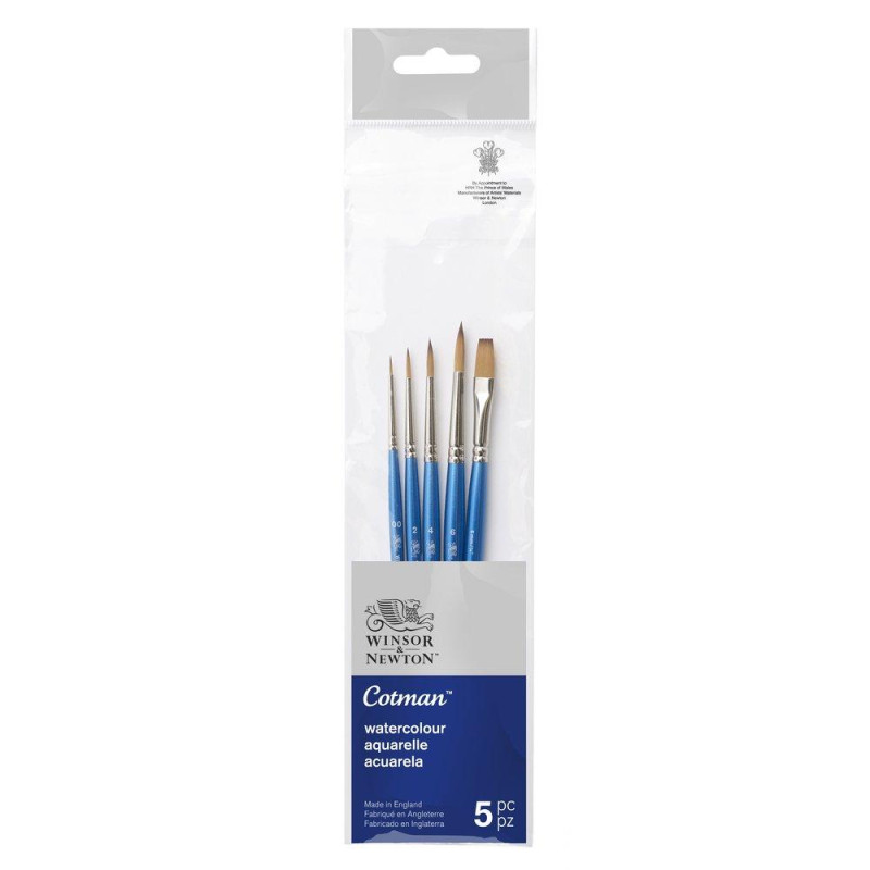 Set 5 pinceaux aquarelle complet rond et plat Cotman