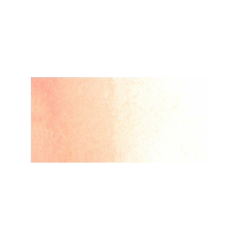 Rose coquille - aquarelle Tube 15ml Gold Class Mijello