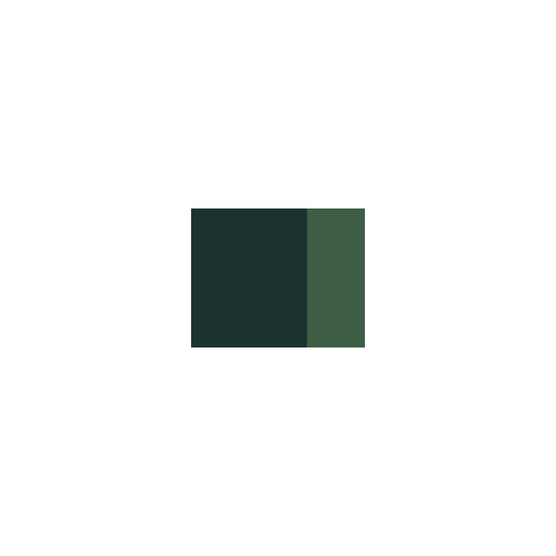 Vert de vessie - gouache extra fine Tube 14 ml Lefranc Bourgeois