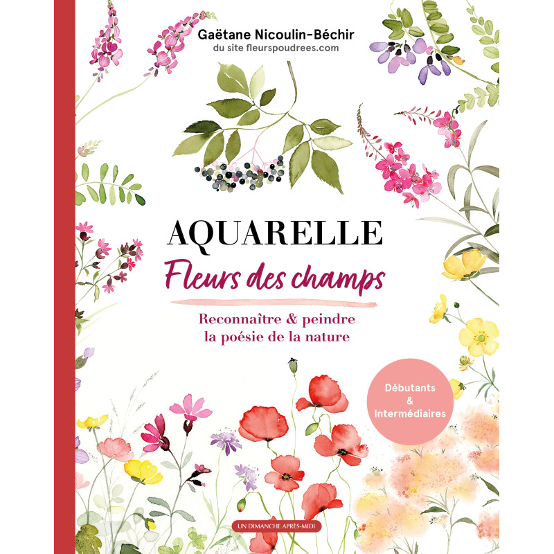 Aquarelle Fleur des Champs, Gaëtane Nicoulin