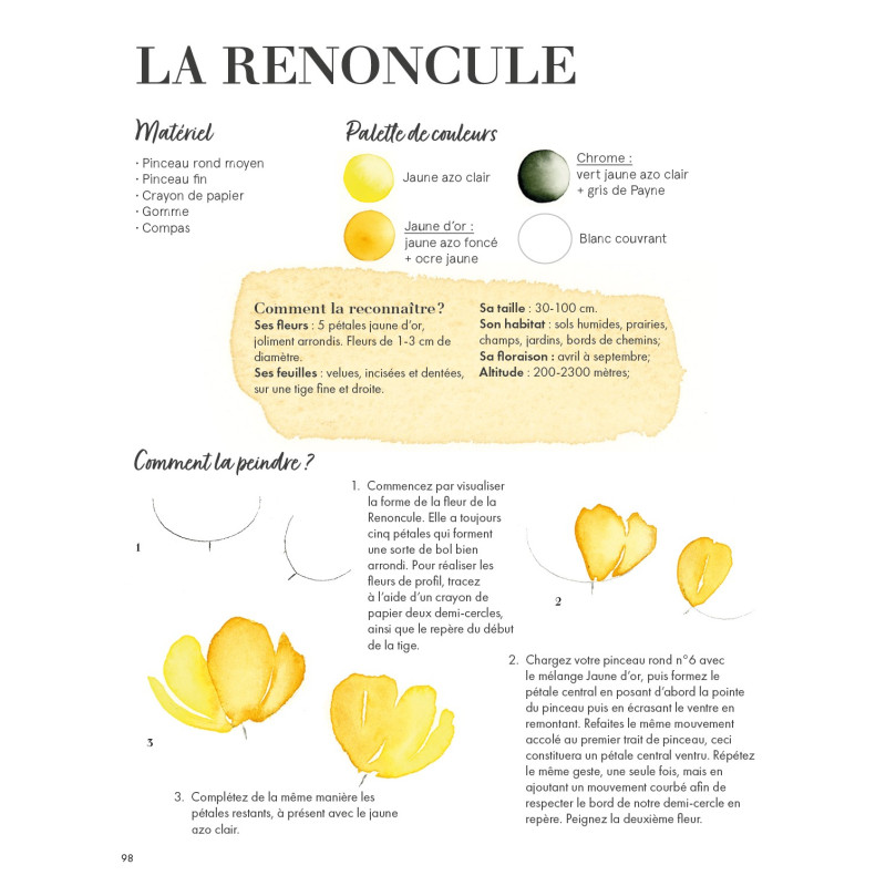 Aquarelle Fleur des Champs, Gaëtane Nicoulin