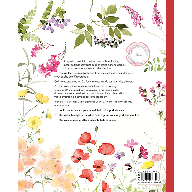 Aquarelle Fleur des Champs, Gaëtane Nicoulin
