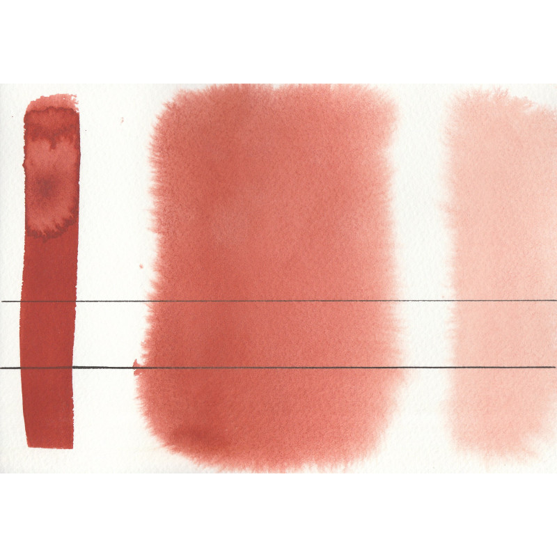 Feu rouge anglais - Aquarelle Godet Roman Szmal Aquarius