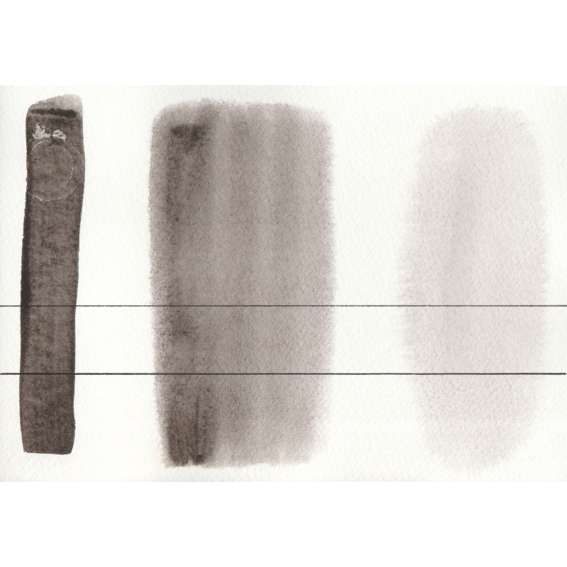 Noir de Rome - Aquarelle Godet Roman Szmal Aquarius