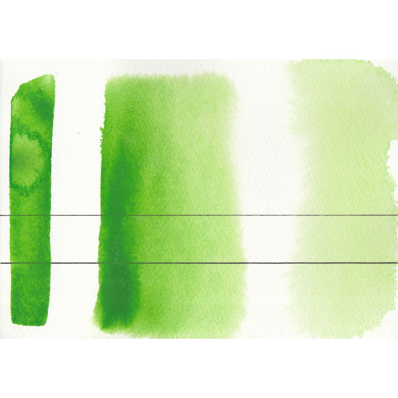 Vert clair permanent - Aquarelle Godet Roman Szmal Aquarius