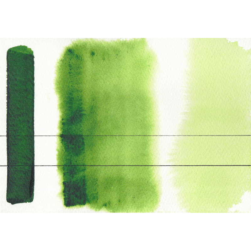 Vert de Vessie - Aquarelle Godet Roman Szmal Aquarius