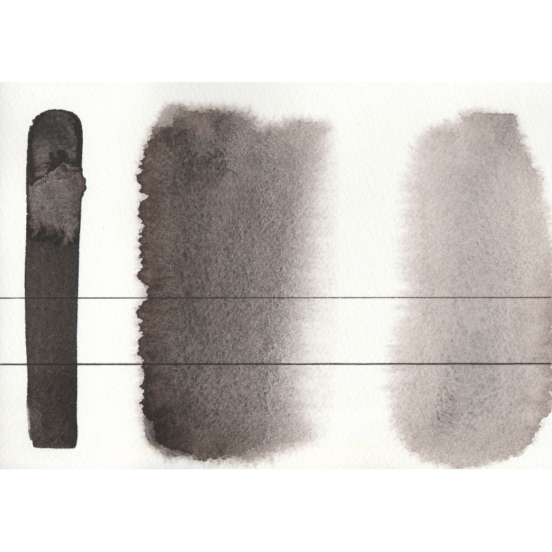 Noir de vigne - Aquarelle Godet Roman Szmal Aquarius