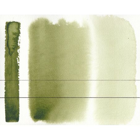 Tube De Peinture Aquarelle Winsor & Newton Cotman - Couleur Vert De Vessie - 8ml - Neuf