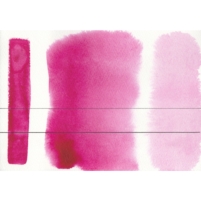 Rose de quinacridone - Aquarelle Godet Roman Szmal Aquarius
