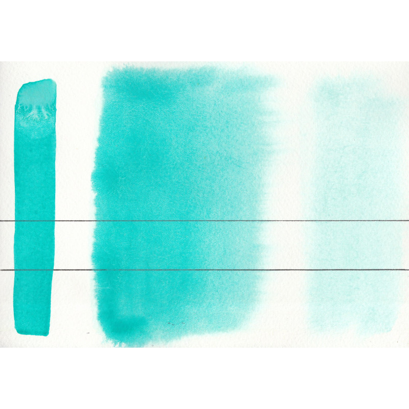Sarcelle de cobalt - Aquarelle Godet Roman Szmal Aquarius