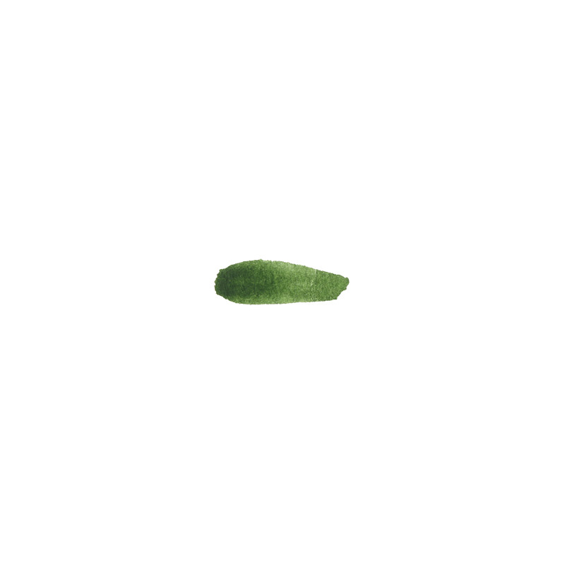 Vert forêt - aquarelle Tube 15ml M. Graham