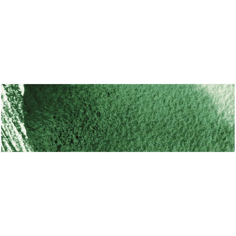 Vert mousse - crayon Museum Aquarelle Caran d'Ache