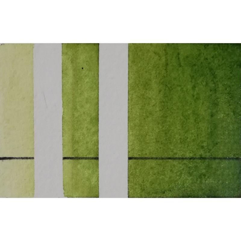 Vert mousse - Aquarelle extra-fine 1/2 Godet Aquarelle Provence
