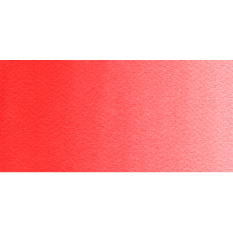 Rouge vif - Aquarelle Godet Rosa Gallery