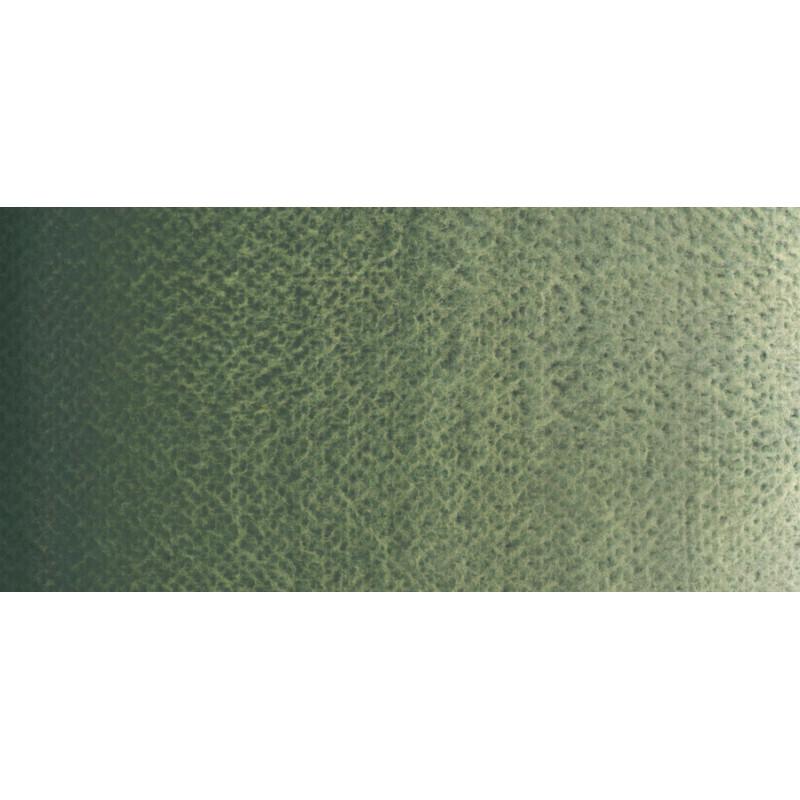 Vert jade - Aquarelle Godet Rosa Gallery