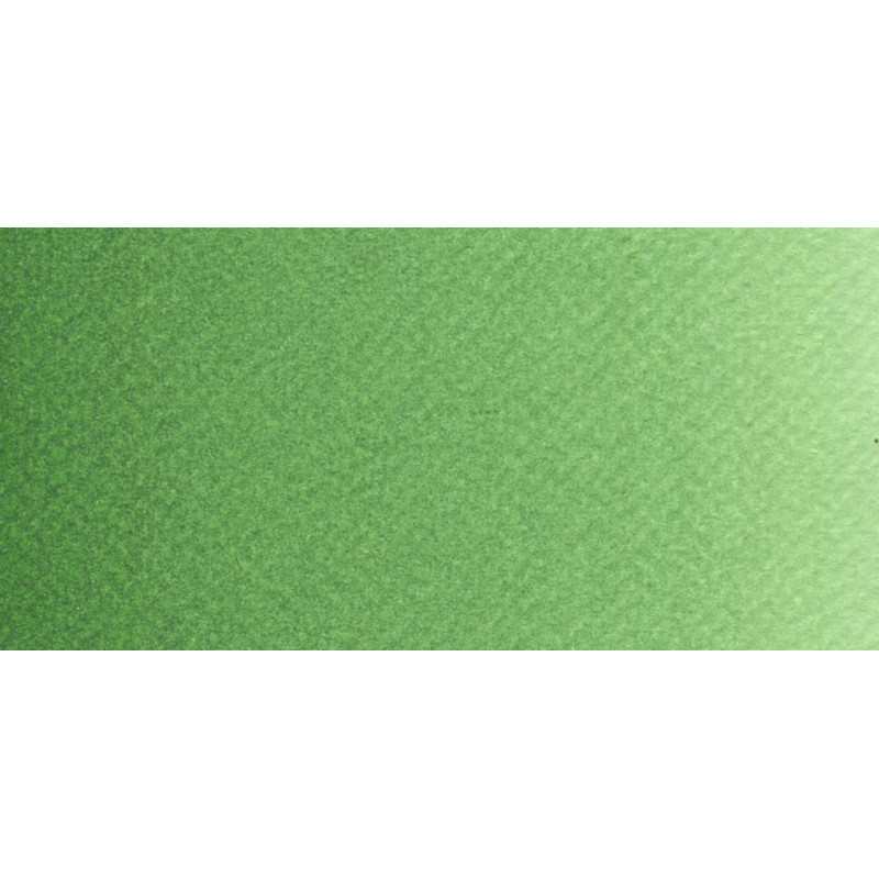 Vert de vessie - Aquarelle Tube 10ml Rosa Gallery